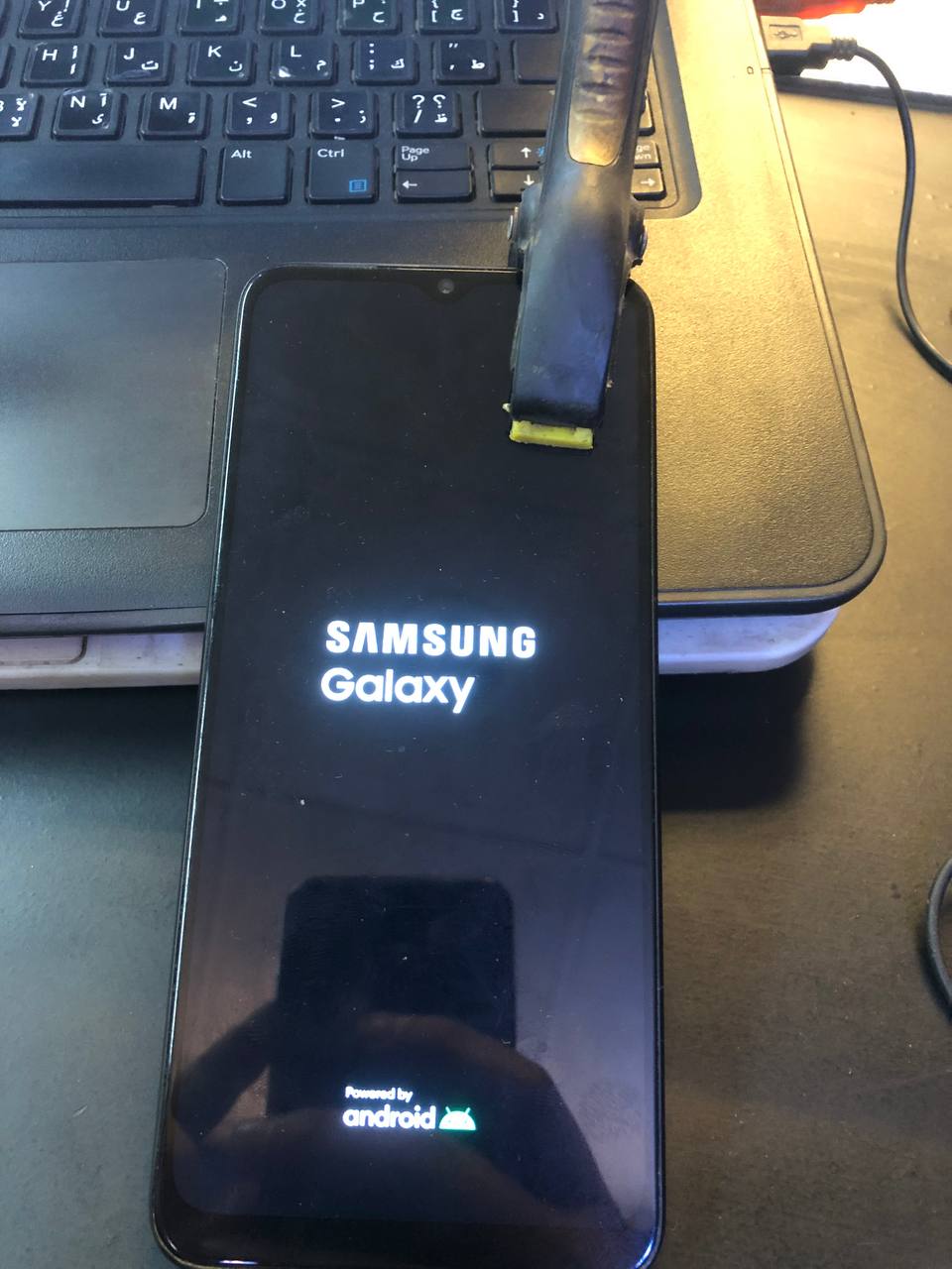 925454232.jpg