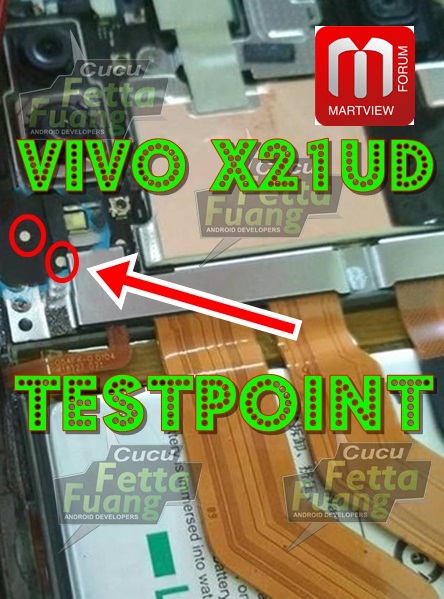 Vivo-x21ud.jpg