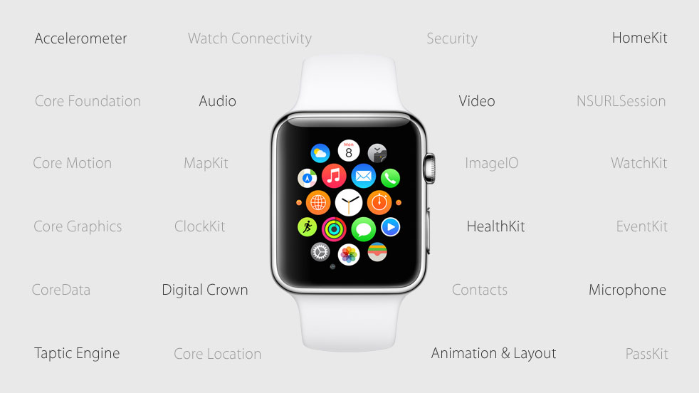watchOS-2-app-logic.jpg