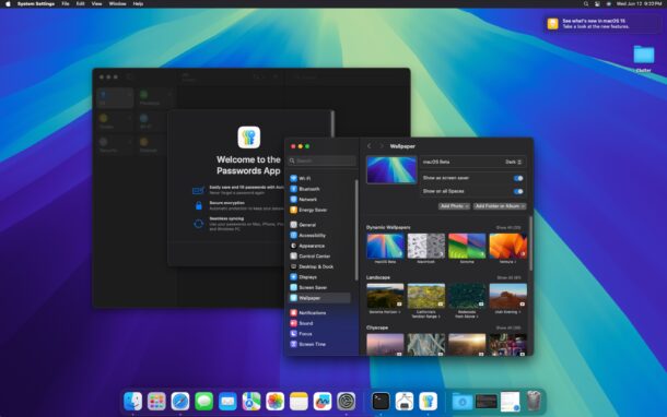 MacOS Sequoia developer beta successfully installed and running