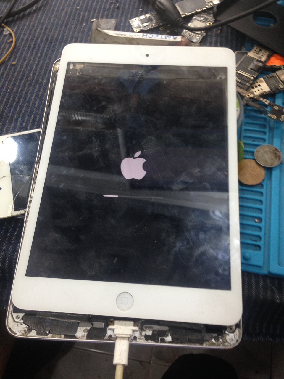 ea3a1ec5809123282ecc6eceaf945b34.jpg