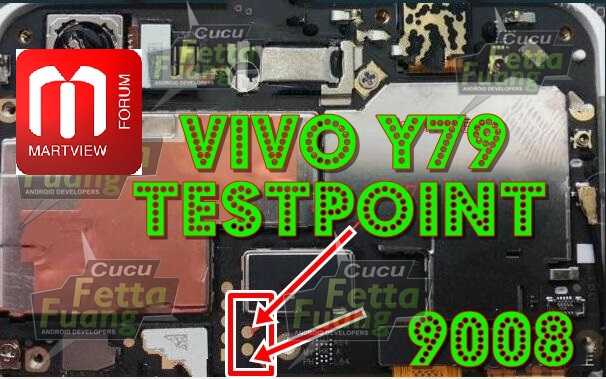 VIVO-Y79.jpg