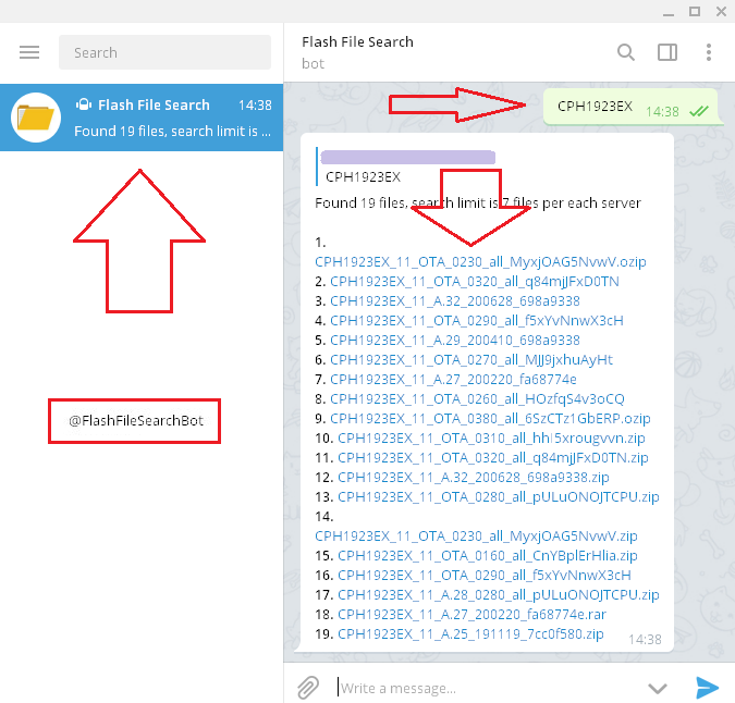 bot-flash-file-search.png